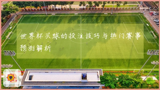 世界杯买球的投注技巧与热门赛事预测解析
