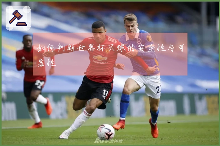 如何判断世界杯买球的安全性与可靠性