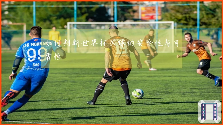 如何判断世界杯买球的安全性与可靠性