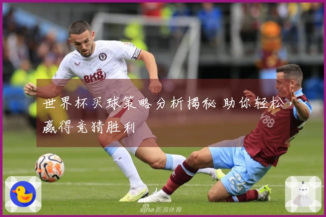 世界杯买球策略分析揭秘 助你轻松赢得竞猜胜利